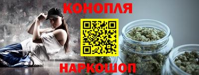 гашик Можга