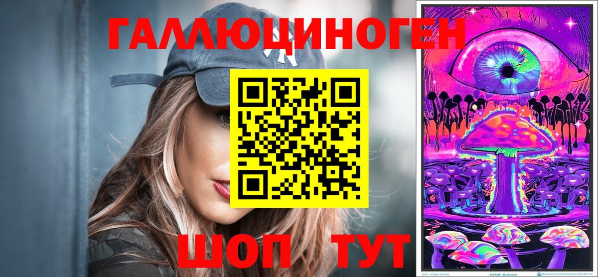 Электрогорск  Псилоцибиновые грибы Psilocybe  Псилоцибиновые грибы ЛСД  Вход с VPN 
